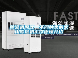 常見問題除濕機原理—不同種類的家用除濕機工作原理介紹