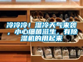 行業新聞冷冷冷！濕冷天氣來襲，小心細菌滋生，有除濕機的用起來
