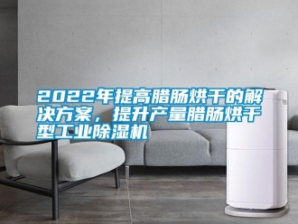 常見問題2022年提高臘腸烘干的解決方案，提升產量臘腸烘干型工業除濕機