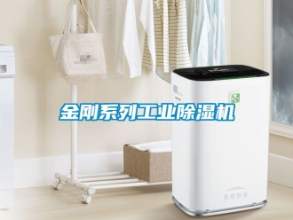 常見問題金剛系列工業除濕機