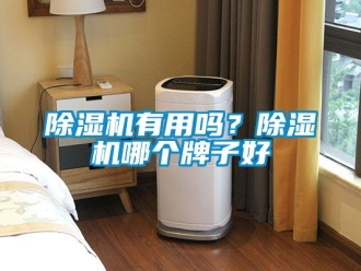 行業(yè)新聞除濕機(jī)有用嗎？除濕機(jī)哪個(gè)牌子好