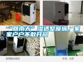 常見(jiàn)問(wèn)題“回南天”濕透整座城，家家戶戶不敢開(kāi)窗
