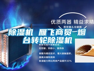 常見問題除濕機 雁飛商貿 煙臺轉輪除濕機