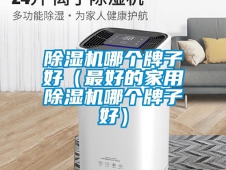 常見問題除濕機哪個牌子好（最好的家用除濕機哪個牌子好）
