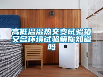 常見問題高低溫濕熱交變試驗箱又名環境試驗箱你知道嗎