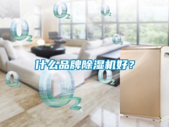 知識百科什么品牌除濕機好？