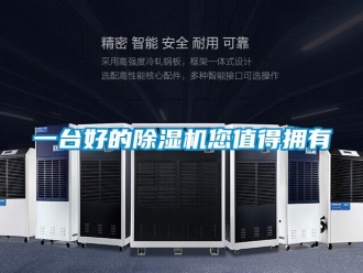 知識百科一臺好的除濕機您值得擁有