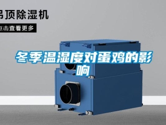 企業新聞冬季溫濕度對蛋雞的影響