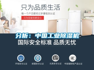 企業新聞分析：中國工業除濕機
