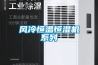 風冷恒溫恒濕機系列