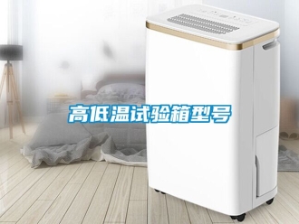 常見問題高低溫試驗(yàn)箱型號