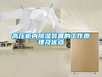 行業新聞高壓柜內除濕裝置的工作原理及優點