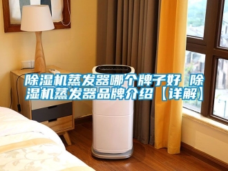 企業新聞除濕機蒸發器哪個牌子好 除濕機蒸發器品牌介紹【詳解】