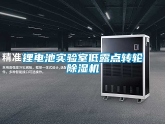 常見問題鋰電池實驗室低露點轉輪除濕機