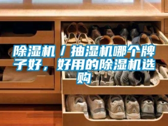 企業新聞除濕機／抽濕機哪個牌子好，好用的除濕機選購