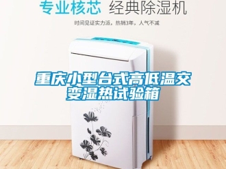 常見問題重慶小型臺(tái)式高低溫交變濕熱試驗(yàn)箱