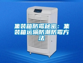 常見問(wèn)題集裝箱防霉秘密：集裝箱運(yùn)輸防潮防霉方法