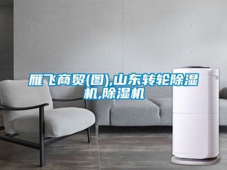 常見問(wèn)題雁飛商貿(mào)(圖),山東轉(zhuǎn)輪除濕機(jī),除濕機(jī)