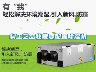 知識(shí)百科制工藝品收藏要配置除濕機(jī)