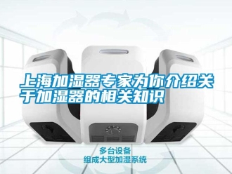 知識百科上海加濕器專家為你介紹關于加濕器的相關知識