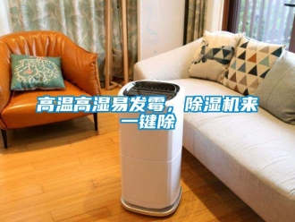 行業(yè)新聞高溫高濕易發(fā)霉，除濕機來一鍵除