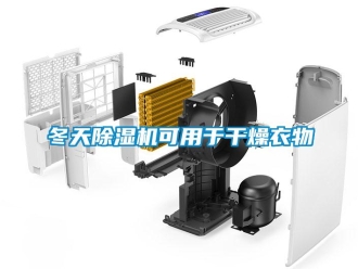 企業(yè)新聞冬天除濕機可用于干燥衣物