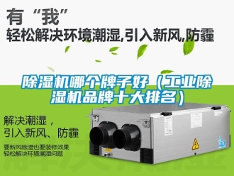 常見問題除濕機哪個牌子好（工業除濕機品牌十大排名）