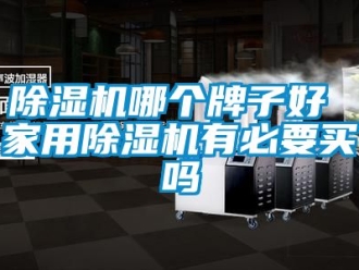常見問題除濕機哪個牌子好 家用除濕機有必要買嗎