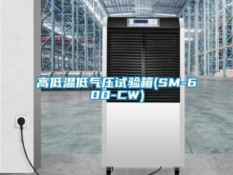 常見問題高低溫低氣壓試驗(yàn)箱(SM-600-CW)