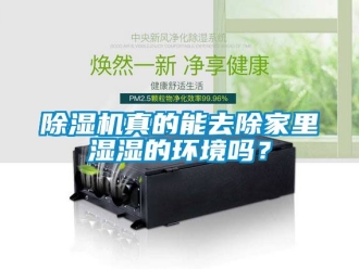 行業(yè)新聞除濕機(jī)真的能去除家里濕濕的環(huán)境嗎？