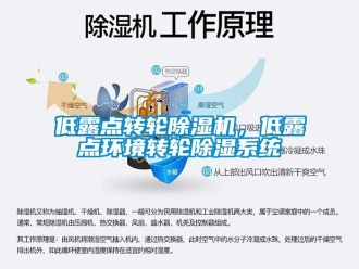企業新聞低露點轉輪除濕機，低露點環境轉輪除濕系統