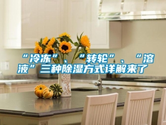 常見問題“冷凍”、“轉輪”、“溶液”三種除濕方式詳解來了