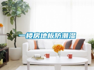 知識百科一樓房地板防潮濕