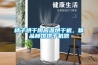 柿子烘干用高溫烘干機，精品柿餅烘干機器