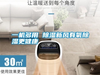 知識百科一機多用 除濕新風有氧除濕更健康