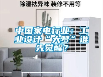知識百科中國家電行業(yè)：工業(yè)設(shè)計“大夢”誰先覺醒？