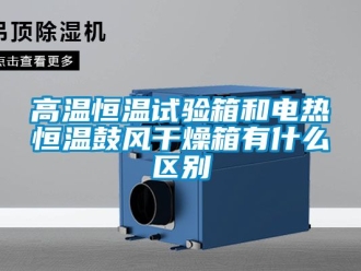 知識百科高溫恒溫試驗箱和電熱恒溫鼓風干燥箱有什么區別