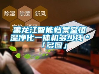 知識百科黑龍江智能檔案室恒溫凈化一體機多少錢＊「多圖」