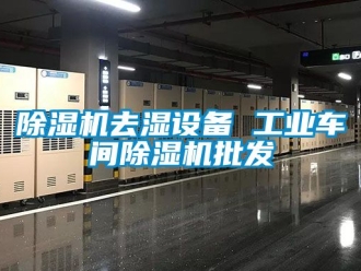 常見問題除濕機去濕設備 工業車間除濕機批發