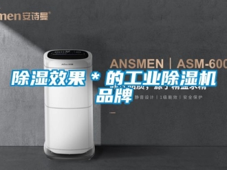 常見問題除濕效果＊的工業除濕機品牌