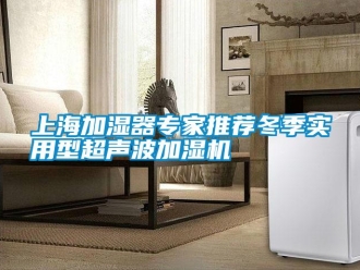 知識百科上海加濕器專家推薦冬季實用型超聲波加濕機