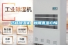 巧選除濕機 遠離潮濕心情