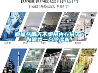 行業(yè)新聞魔都冬雨天不想拼內(nèi)衣褲了？你需要一臺除濕機！