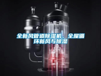 行業(yè)新聞全新風(fēng)管道除濕機(jī)，全屋循環(huán)新風(fēng)與除濕