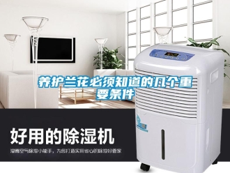 知識百科養護蘭花必須知道的幾個重要條件