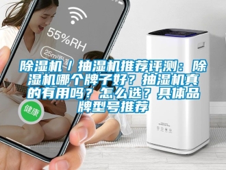 企業新聞除濕機／抽濕機推薦評測：除濕機哪個牌子好？抽濕機真的有用嗎？怎么選？具體品牌型號推薦