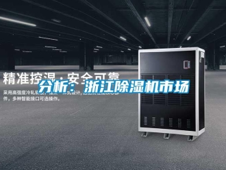 企業新聞分析：浙江除濕機市場