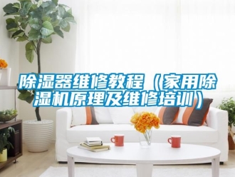 常見問題除濕器維修教程（家用除濕機原理及維修培訓）