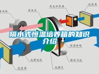 知識百科隔水式恒溫培養箱的知識介紹