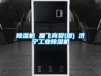 常見問題除濕機 雁飛商貿(圖) 濟寧工業除濕機